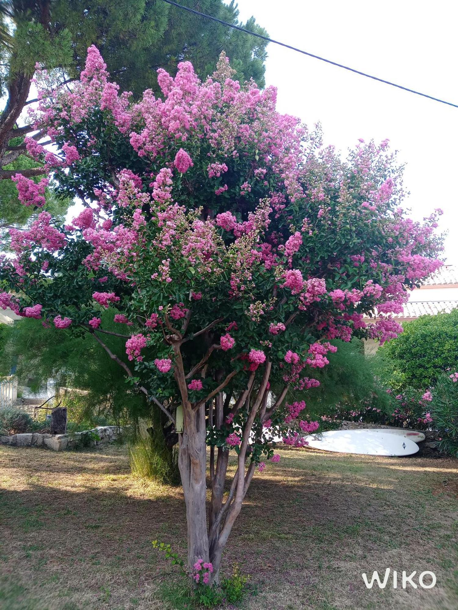 Au Fil De Soi Βίλα Saint-Julien-de-Peyrolas Εξωτερικό φωτογραφία